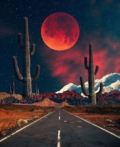 an image of a desert road with cacti and the moon in the background