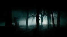 a dark forest with fog and trees in the background, saying if you're going through hell, keep going