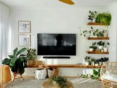 a living room filled with furniture and lots of plants on top of the shelves in front of a flat screen tv