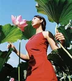 a woman in a red dress standing next to large green leaves and pink lotus flowers