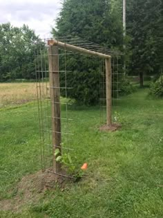 an outdoor vegetable garden in the middle of a field