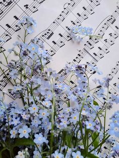 some blue flowers and sheet music on the wall