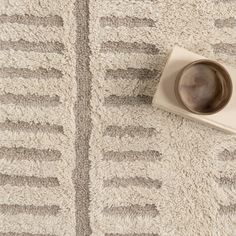 a dog bowl on the floor next to a rug