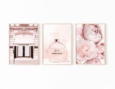 three chanel pictures hanging on a wall next to each other with pink flowers in front of them