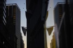 some buildings and birds flying in the sky