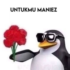 a penguin with sunglasses holding a flower and the caption untunku manez