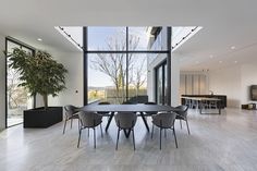 a dining room table with chairs and a potted plant in front of large windows