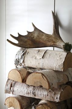 a stack of logs with antlers on top