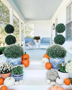 the front porch is decorated with pumpkins and potted plants