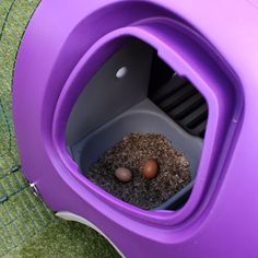 two eggs are sitting in a purple litter box