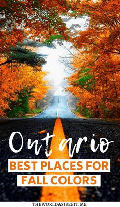 an empty road surrounded by trees with text overlay that reads outanio best places for fall colors