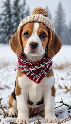 a beagle puppy sitting in the snow wearing a hat and scarf