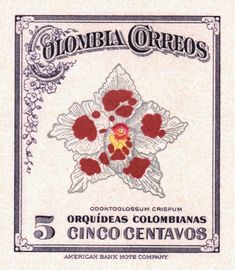 an old mexican bank note with red flowers on the front and bottom corner, which reads 5 cincocentanos