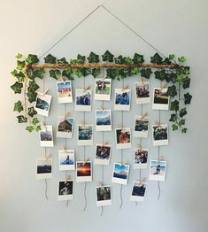 a bunch of pictures hanging on a wall with some ivy growing up to it's sides