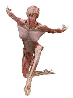 an image of a man doing the splits in the air with his arms and legs stretched out