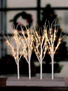 four white branches with lights on them are sitting on a wooden stand in front of a window