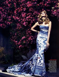 Chinoiserie Dress, Julia Stegner, Porcelain Dress, Mert And Marcus, Anniversary Books, Roberto Cavalli Dress, Cape Fashion, Cavalli Dress, Printed Gowns