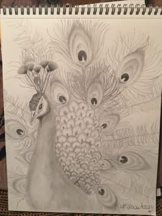 a drawing of a peacock with feathers on it's back and its head in the center