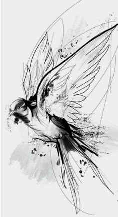 a black and white drawing of a bird with its wings spread out, flying through the air