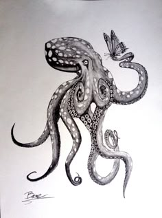 an octopus drawing with a butterfly on it's back and its tail curled up