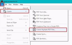 an image of the file format wizard in windows 7 and 8 with options to insert files