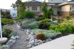 a garden with rocks and flowers in front of a house