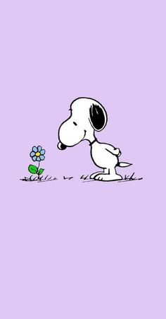 a cartoon dog sniffing at a flower on a purple background