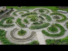 an aerial view of a vegetable garden in the middle of a field with lots of green plants