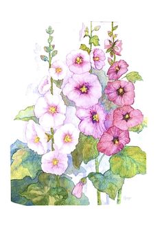 watercolor painting of pink and white flowers