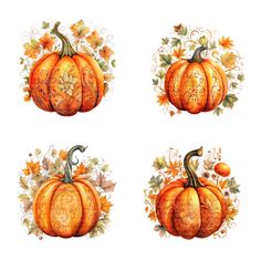 four pumpkins with ornate designs on them