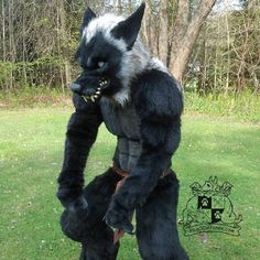 a man dressed as a wolf standing in the grass