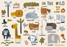 an illustrated poster with different animals in the wild on it's sides and names