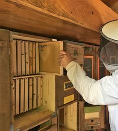 a man wearing a bee suit and holding a box in front of some honey boxes