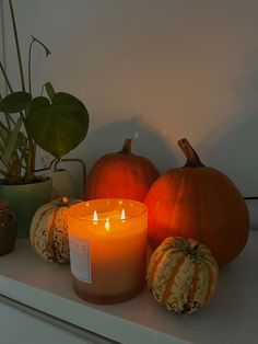 candles and pumpkins are sitting on a shelf