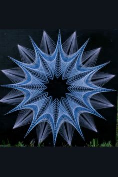 a blue and white star shaped object in the middle of some grass with black background