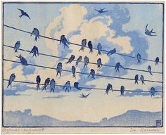 many birds are sitting on wires in the sky