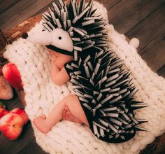 a baby is dressed up as a hedgehog