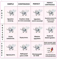 the different types of flies in english and german words, with pictures on each side