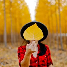 a woman holding up a yellow leaf in front of her face and wearing a black hat