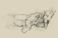 a black and white drawing of a dog laying on its back with it's eyes closed