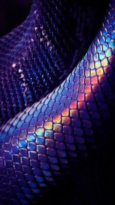 a close up view of a purple snake skin