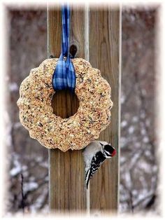 a bird feeder hanging from a wooden post