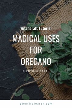 Magickal Correspondences of Oregano » Plentiful Earth Oregano Witchcraft, Justice Spell, Herbal Grimoire, Herbs Healing, Good Luck Spell, Green Witchery, Kitchen Magick, Luck Spell