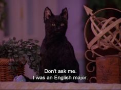 a black cat sitting on top of a table next to a basket filled with flowers