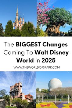 the biggest changes coming to walt world in 205