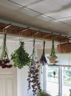 herbs hanging from hooks in a kitchen