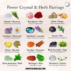 Herb Pairings, Jar Spells, Wiccan Magic, Magic Spell Book, Oh My Goddess, Magic Herbs, Magical Herbs, Witch Craft