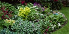 a garden filled with lots of different types of flowers