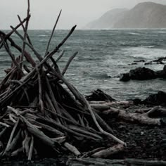 a pile of sticks sitting on top of a rocky beach