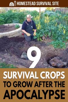 Survival Skills Emergency Preparedness, Survival Garden, Off Grid Survival, Survival Skills Life Hacks, Homesteading Skills, Survival Gardening, Survival Life Hacks